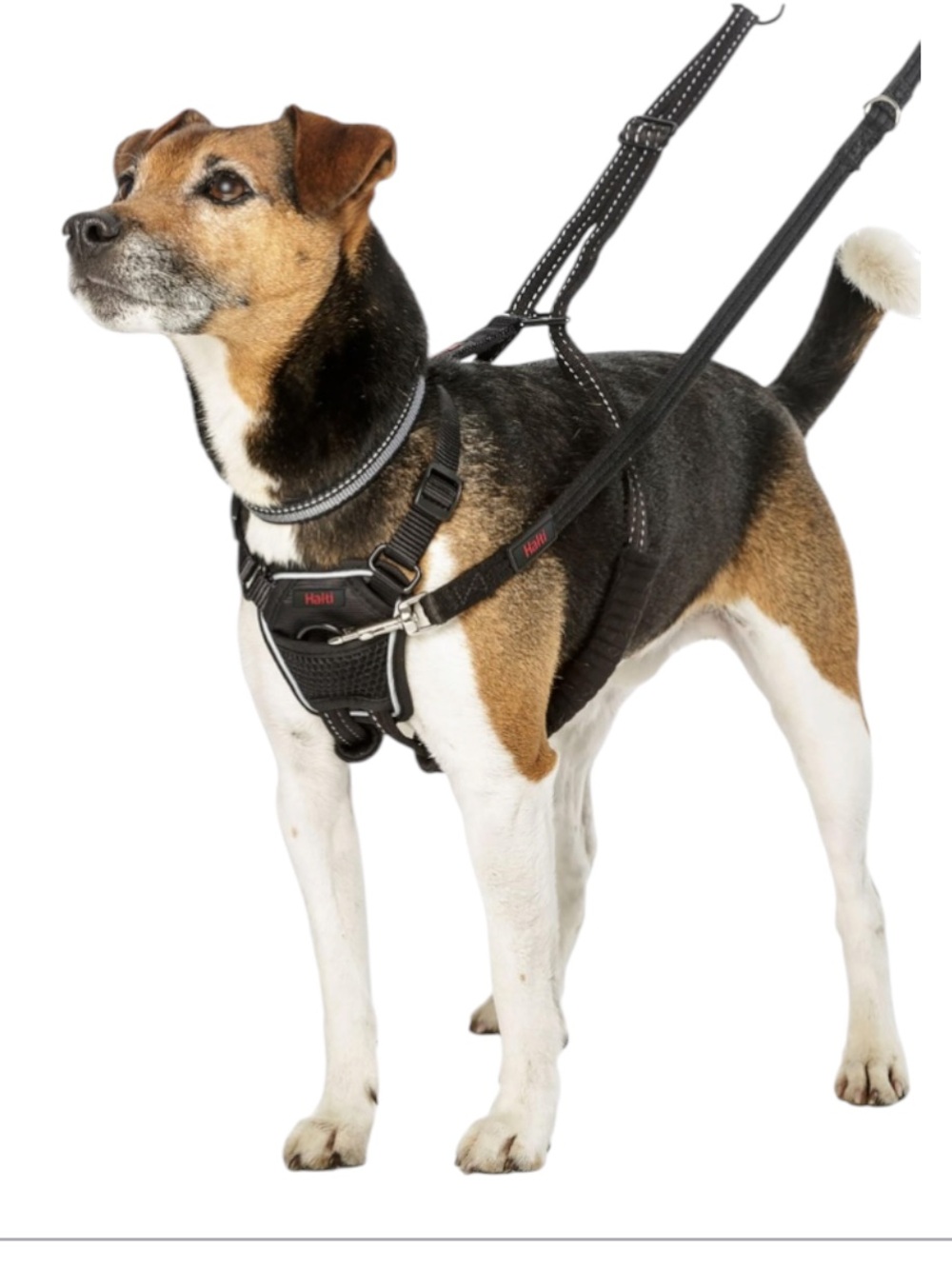 HaltI no pull harness S NEW